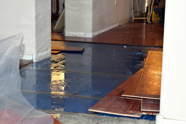 Professional Flood Damage Repair technician working in Highland, CA